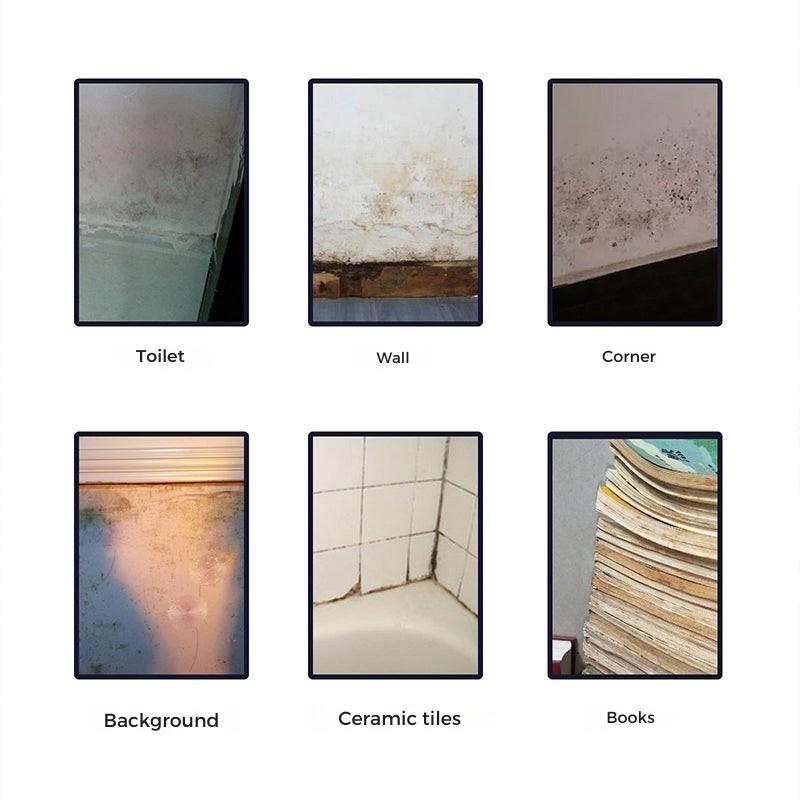 MoldRemove™ | Anti-mold cleaning mousse