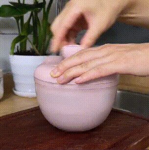 SpinFresh™  | Manual fruit and vegetable dehydrator with removable container