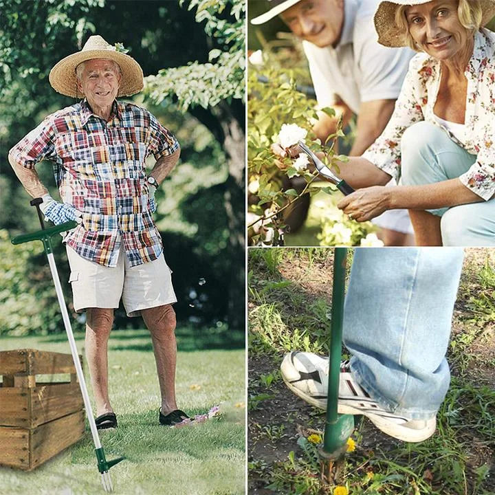 RootVanish™ | Standing plant root remover