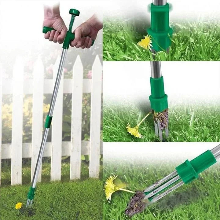 RootVanish™ | Standing plant root remover
