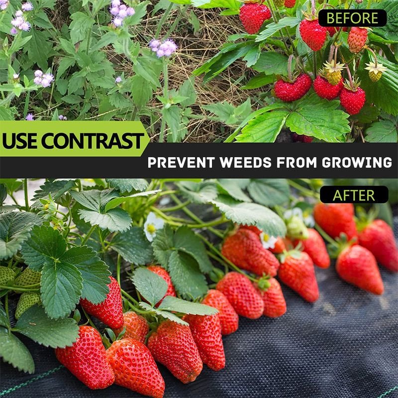 WeedGuard™ | Weed-free & easy to maintain in every season!