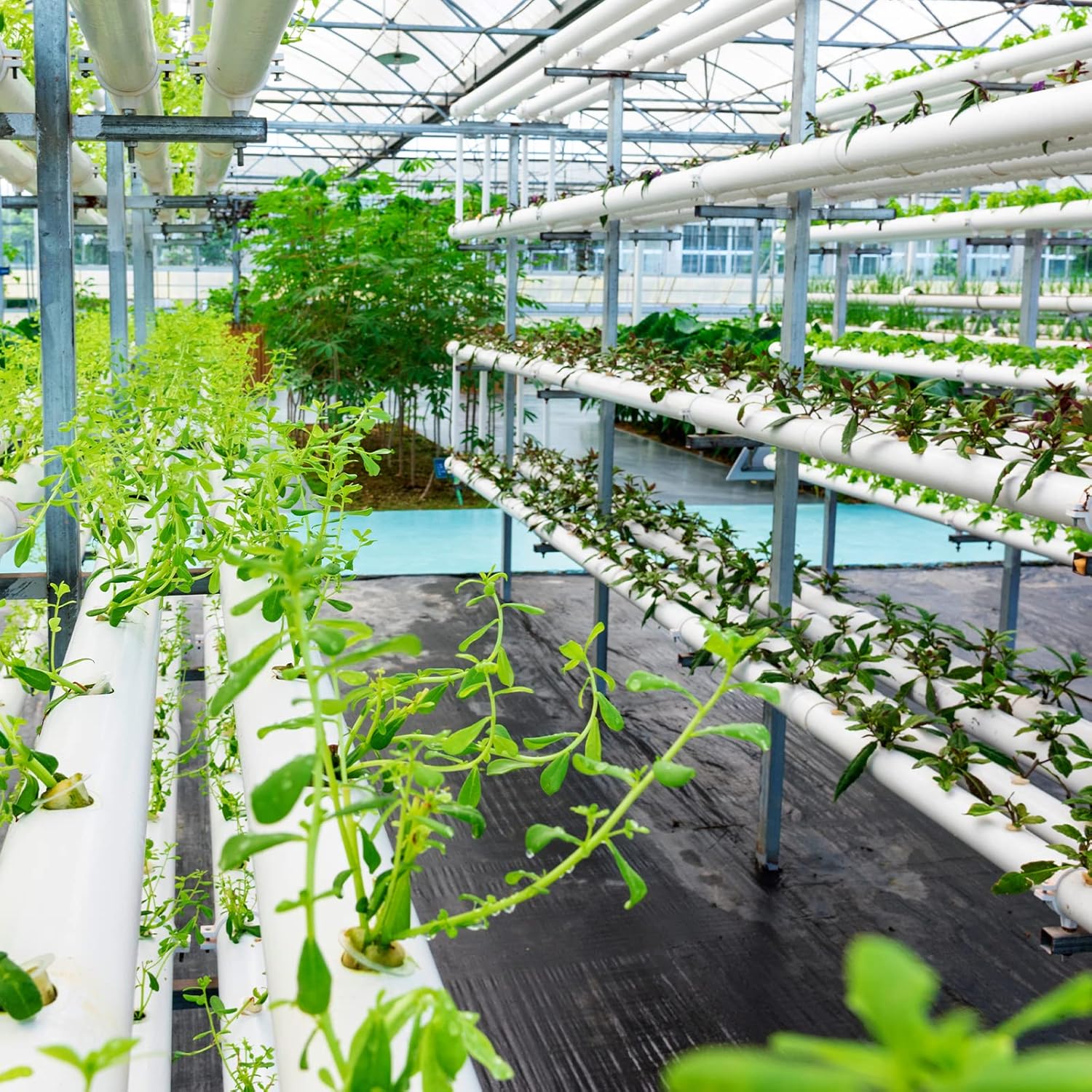 WeedGuard™ | Weed-free & easy to maintain in every season!