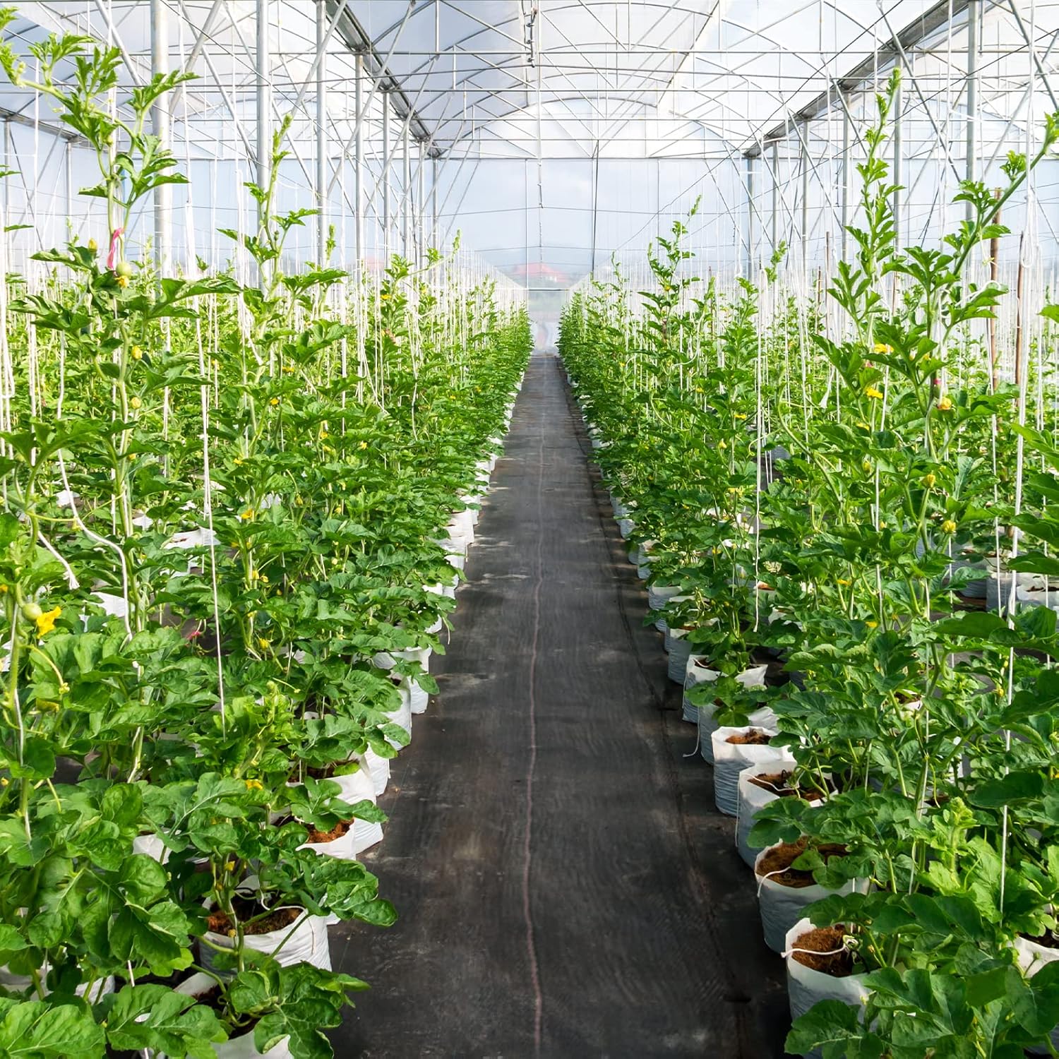 WeedGuard™ | Weed-free & easy to maintain in every season!