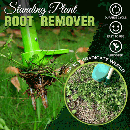 RootVanish™ | Standing plant root remover